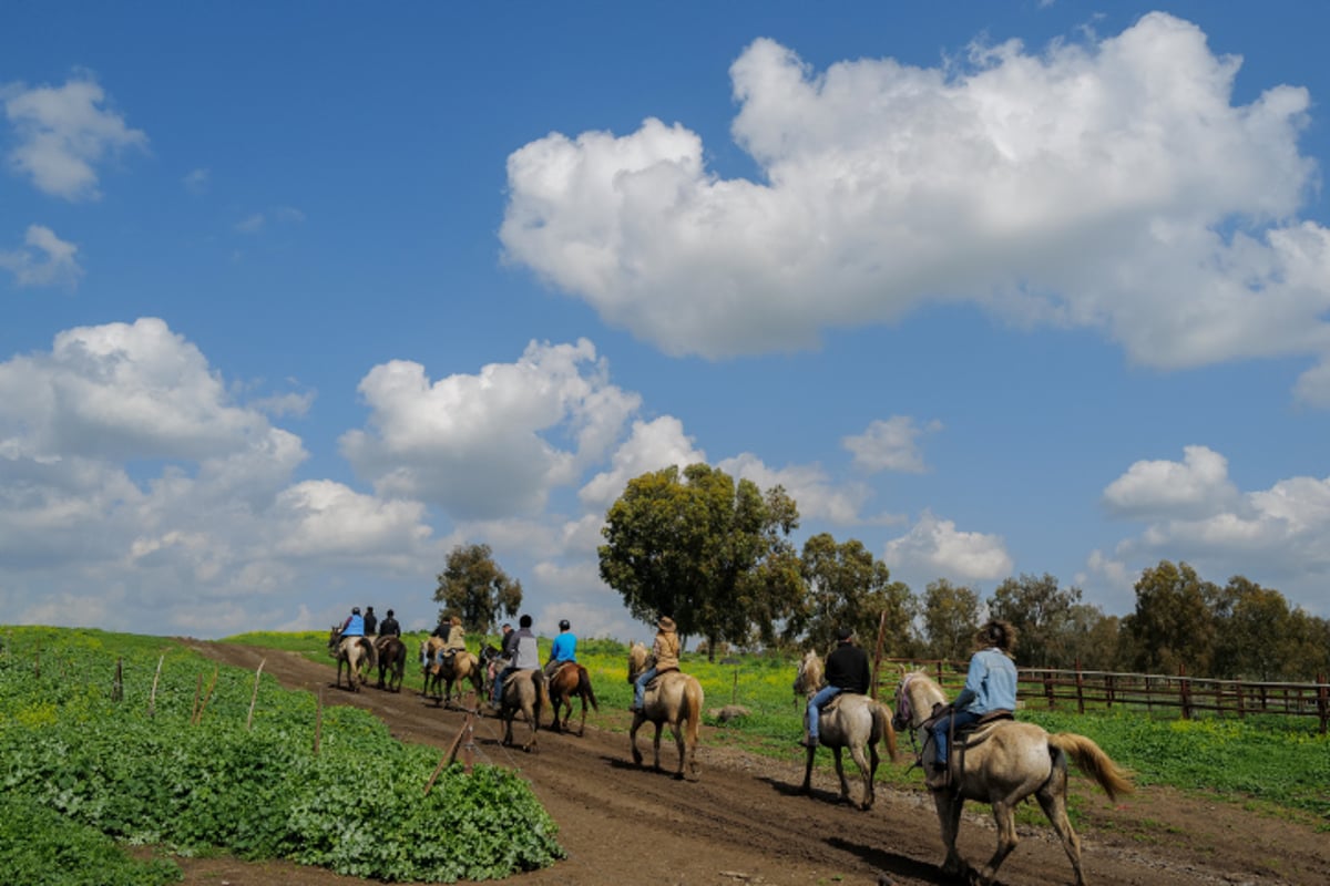 תחזית מזג האוויר: שרבי ברוב אזורי הארץ