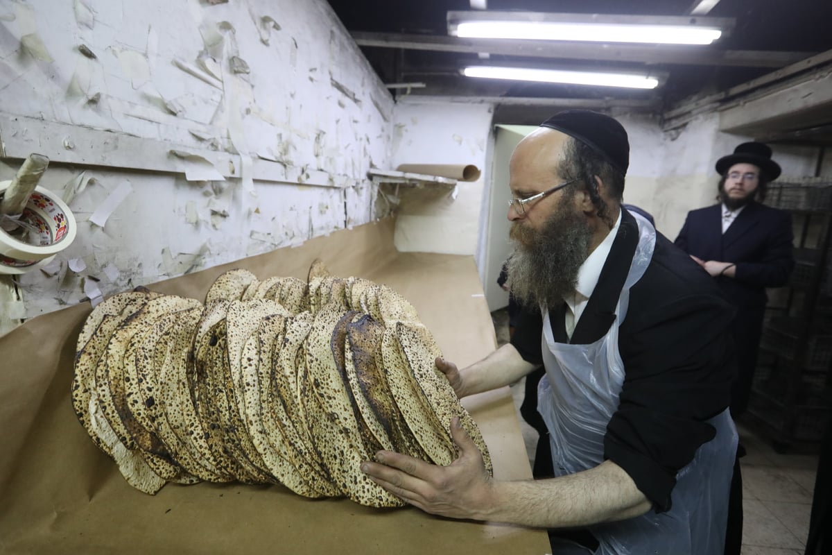 תיעוד: הרבי מלעלוב שאב מים שלנו ואפה מצות