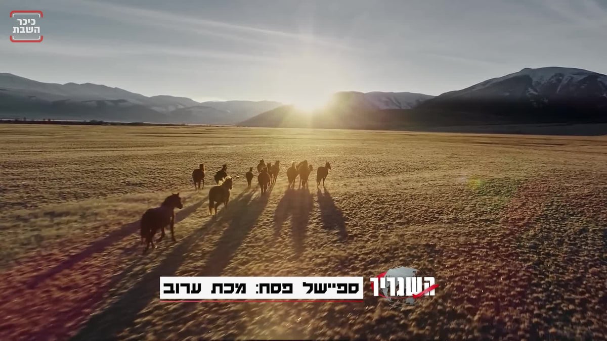 פחד: מכת ערוב מכה  בכל העולם • השגריר