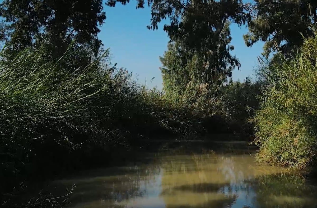 צל, אופניים והליכה ליד הבית? המומחה המליץ