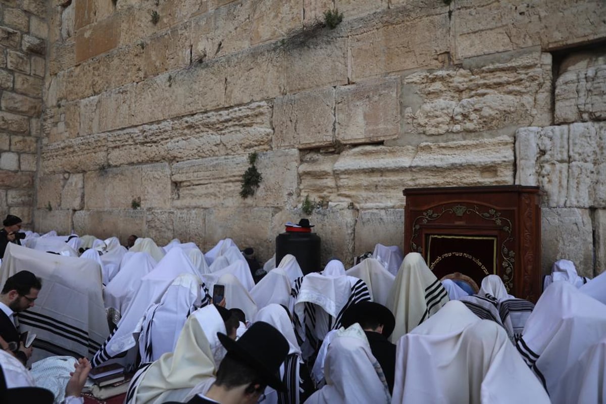 תיעוד: מעמד ברכת הכהנים בכותל המערבי