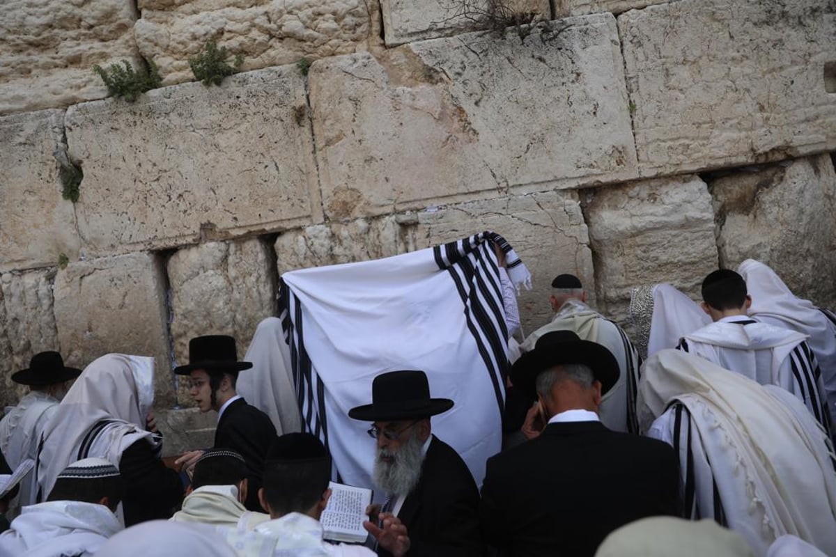 תיעוד: מעמד ברכת הכהנים בכותל המערבי