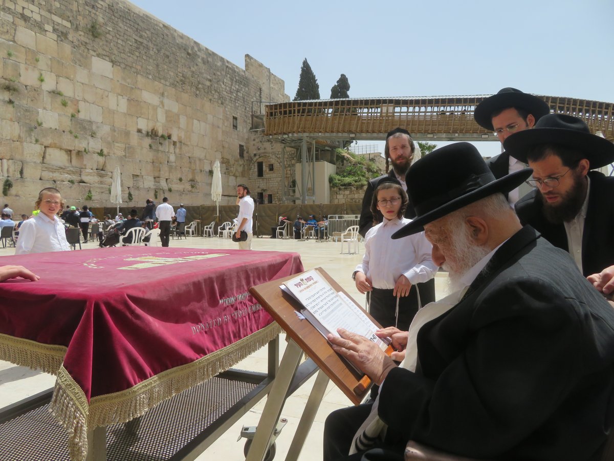 'הקבלת פני רבו' אצל הגרב"ד פוברסקי; צפו