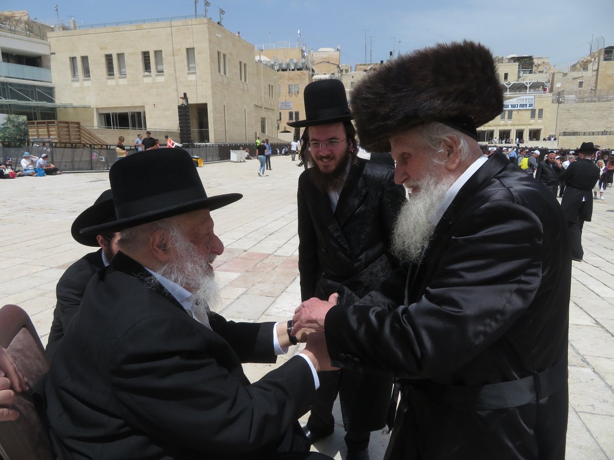 'הקבלת פני רבו' אצל הגרב"ד פוברסקי; צפו