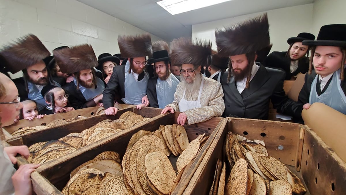 תיעוד נרחב: כך חגגו בסאטמר את חג הפסח