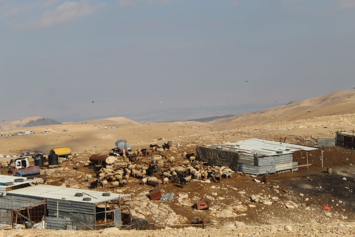 בדואים בסמיכות להר מונטאר &ndash; 'צוק עזאזל'