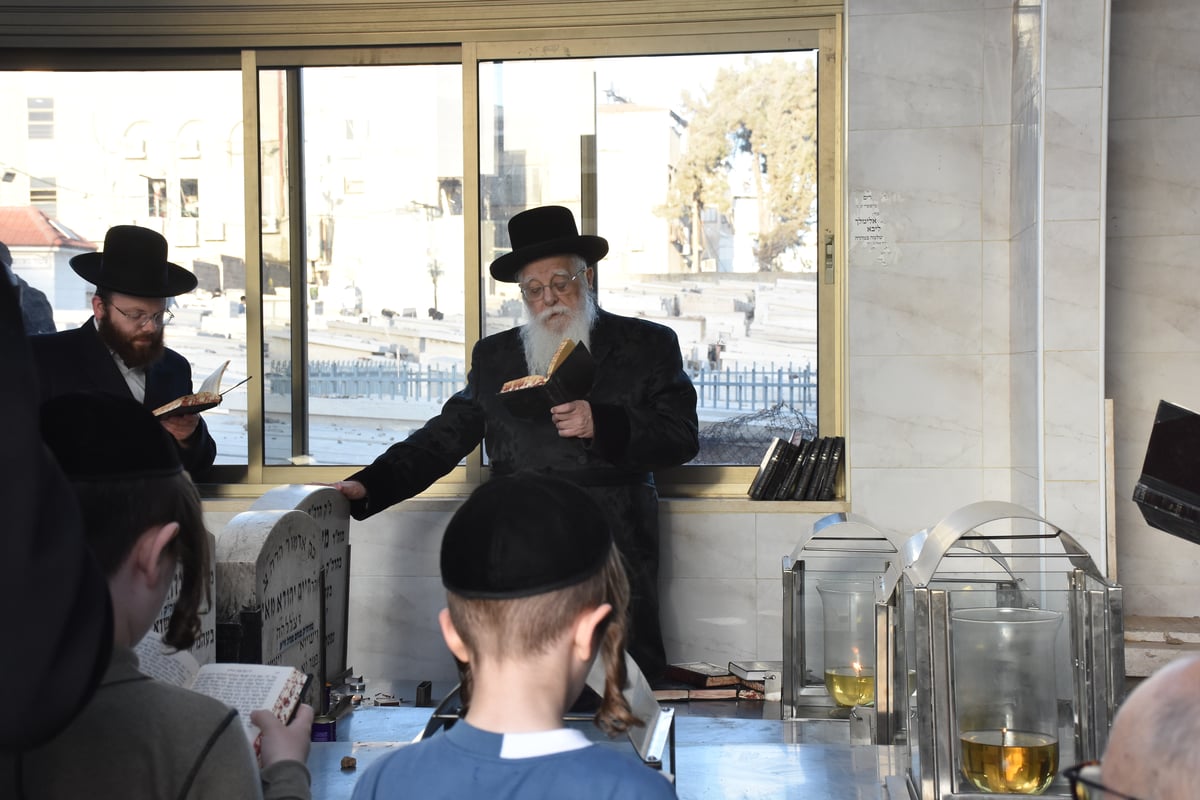 לרגל ה'יארצייט': האדמו"ר משאץ עלה לציון אביו