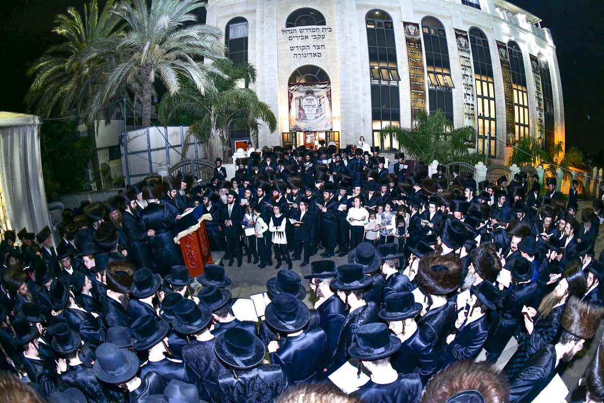 כך חגגו בסאדיגורה שלום זכר לבן האדמו"ר