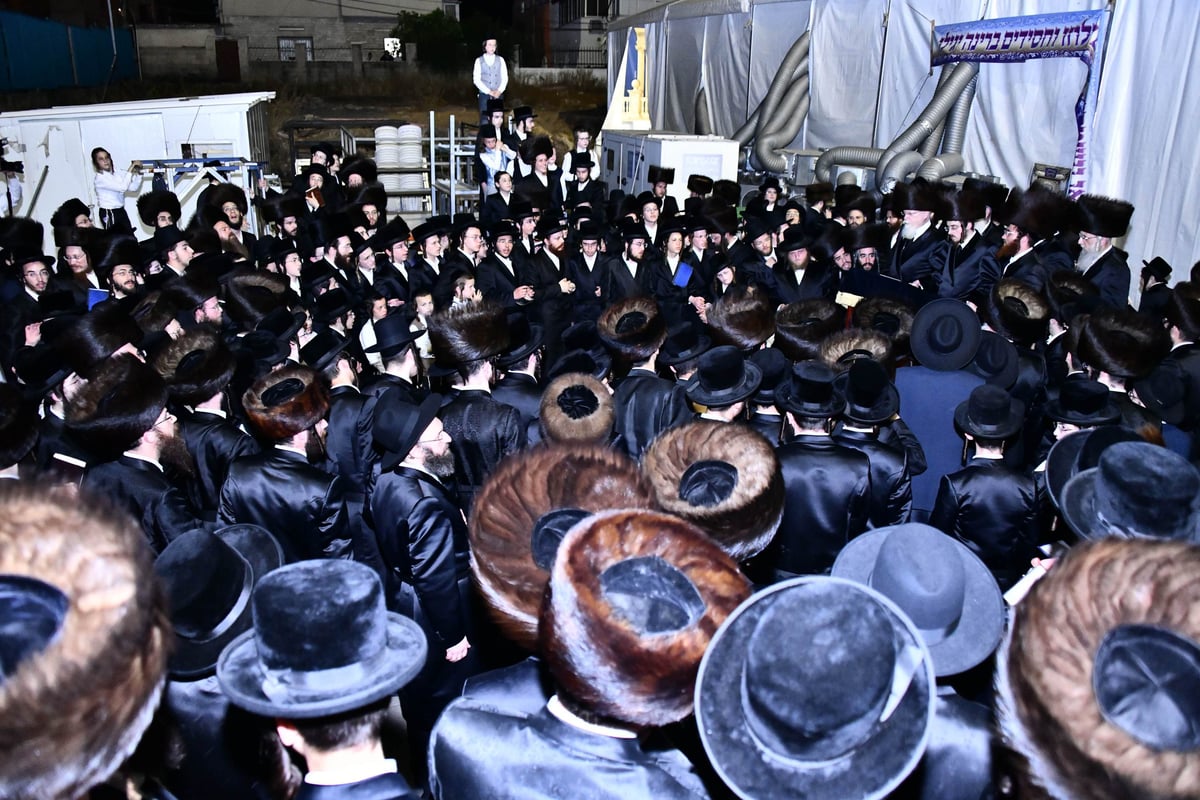 כך חגגו בסאדיגורה שלום זכר לבן האדמו"ר