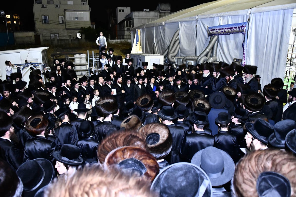 כך חגגו בסאדיגורה שלום זכר לבן האדמו"ר