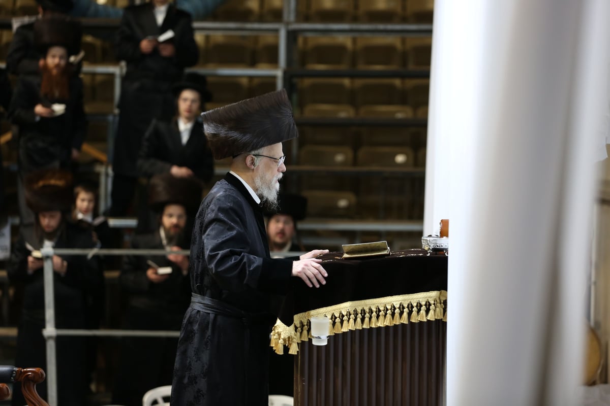 השבת של האדמו"ר מסערט ויז'ניץ בב"ב