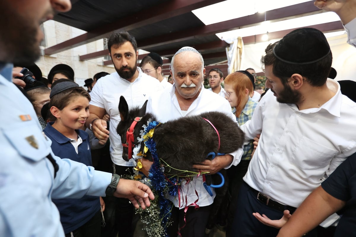 נשיא המועצת  פדה את החמור ברחובה של עיר