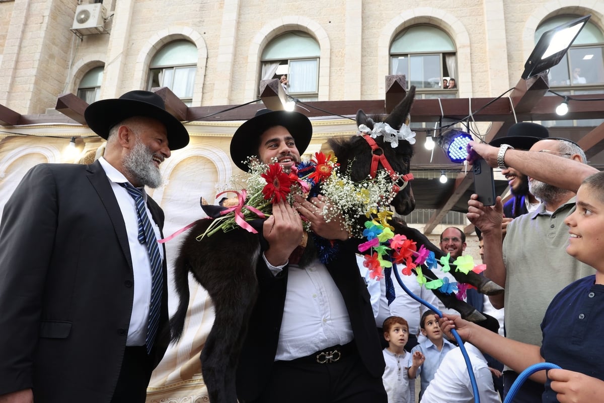 נשיא המועצת  פדה את החמור ברחובה של עיר