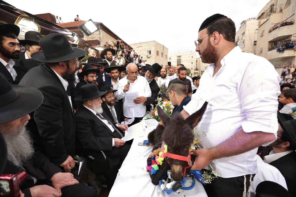 נשיא המועצת  פדה את החמור ברחובה של עיר