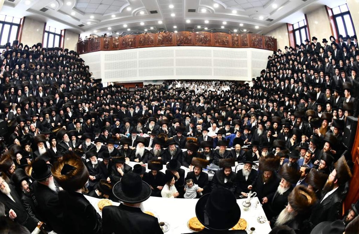 תיעוד: שמחת הברית לבנו של האדמו"ר מסאדיגורה