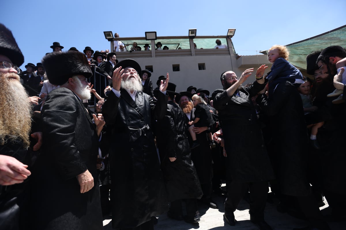 תיעוד: האדמו"ר רקד עם ילדי ה'חלאקה' על כתפיו