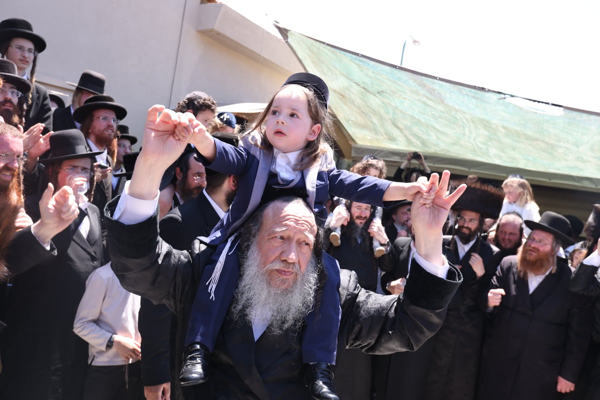 תיעוד: האדמו"ר רקד עם ילדי ה'חלאקה' על כתפיו