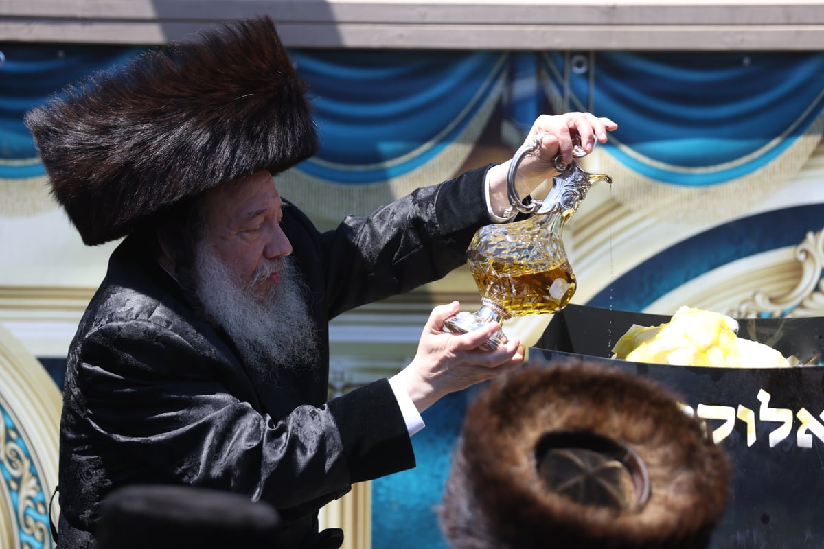 תיעוד: האדמו"ר רקד עם ילדי ה'חלאקה' על כתפיו