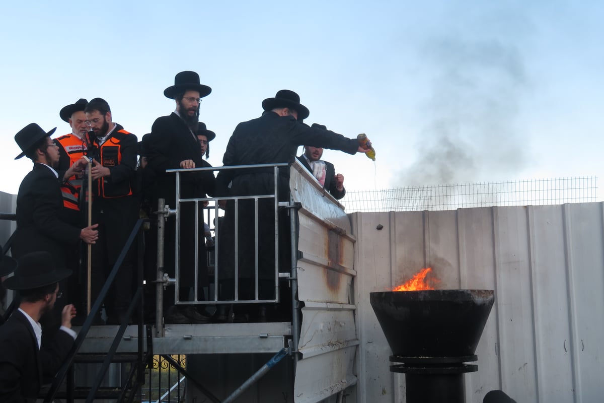 הרבי ממודז'יץ עלה למירון וערך הדלקה ותפילה