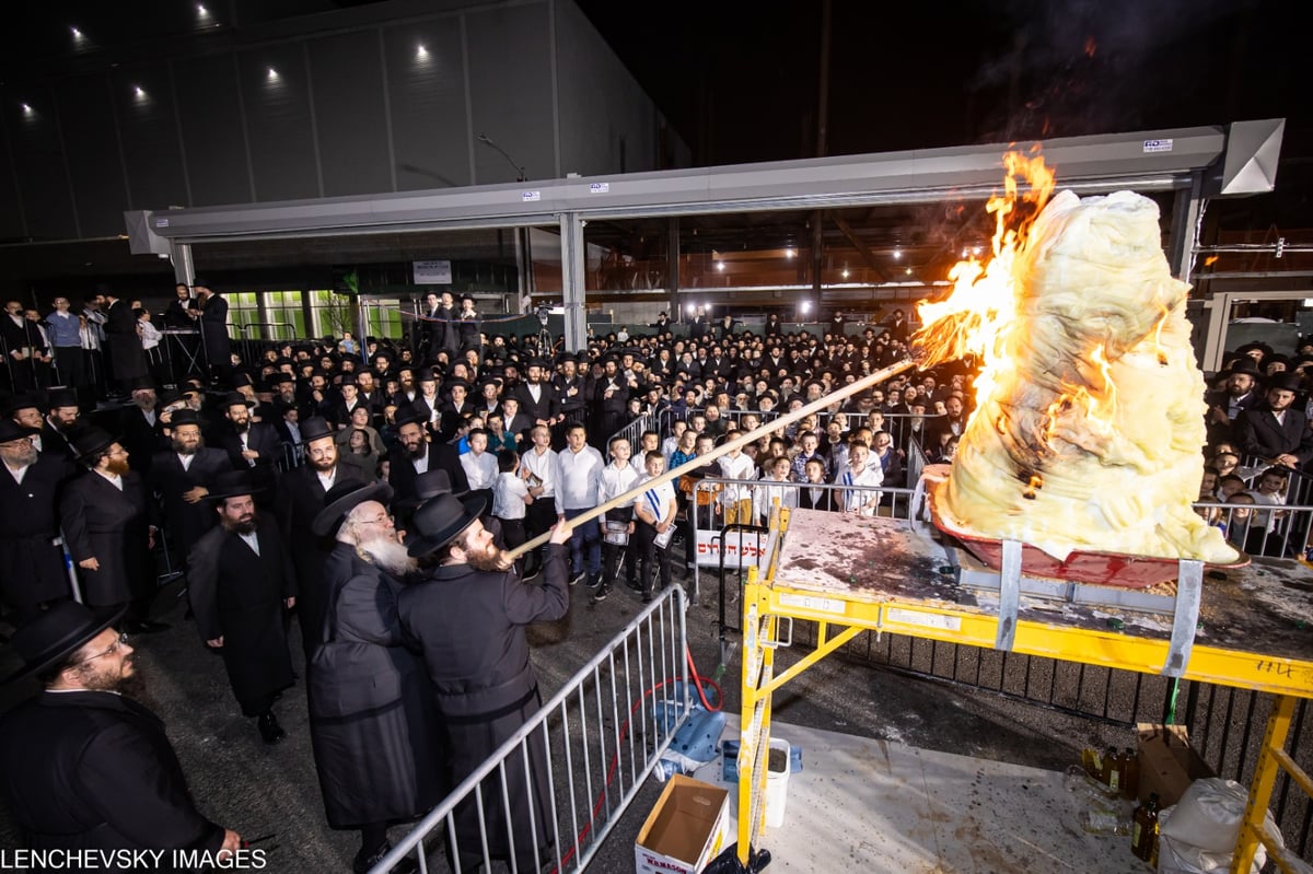 בראשות בן הרבי: ל"ג בעומר בקהילת גור בארה"ב