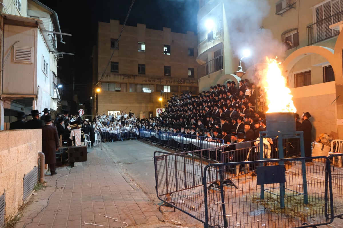 הדלקה ו'חלאקה': ליל ל"ג בעומר ב'שבט הלוי'