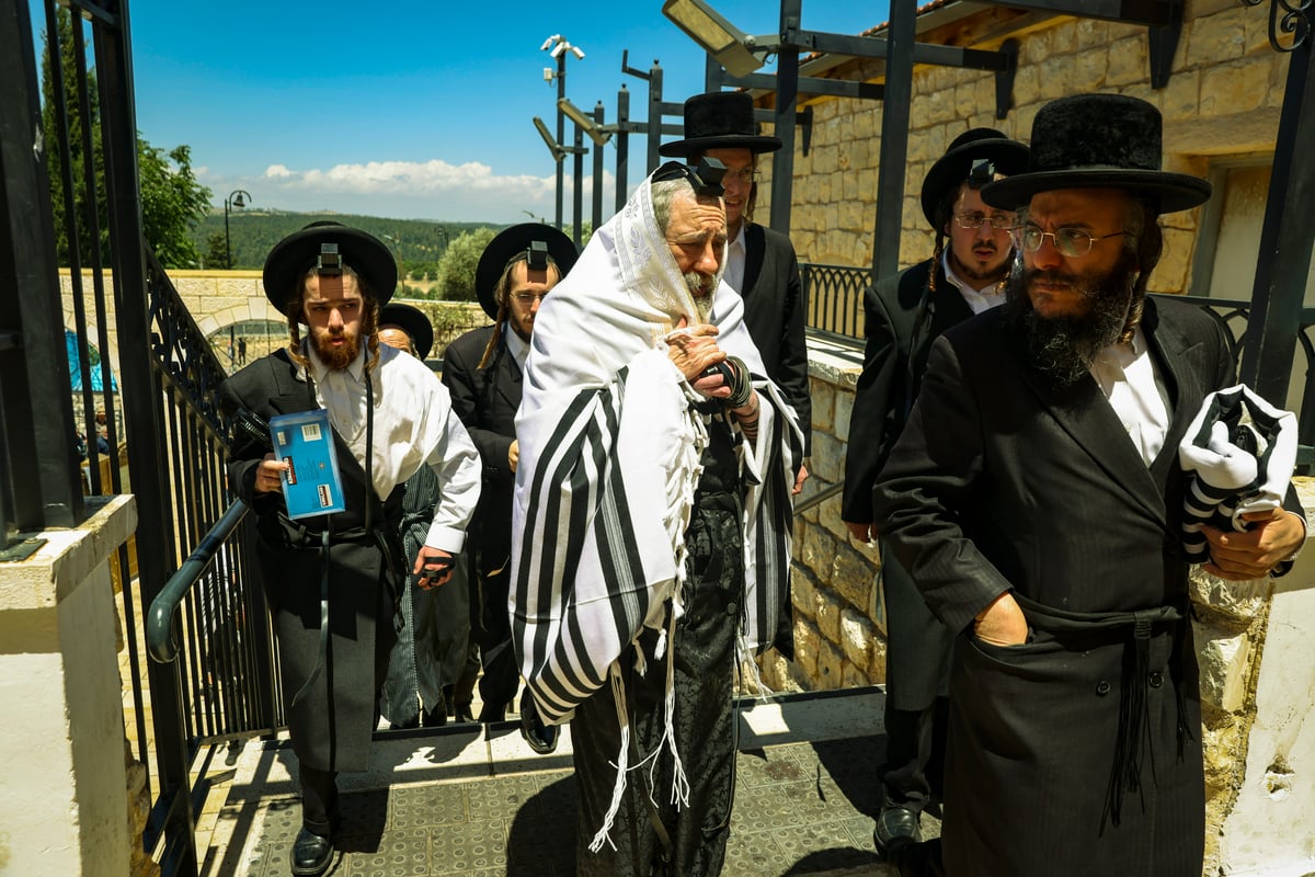 לרגל ההילולה: הרבי מרחמסטריווקא שבת במירון