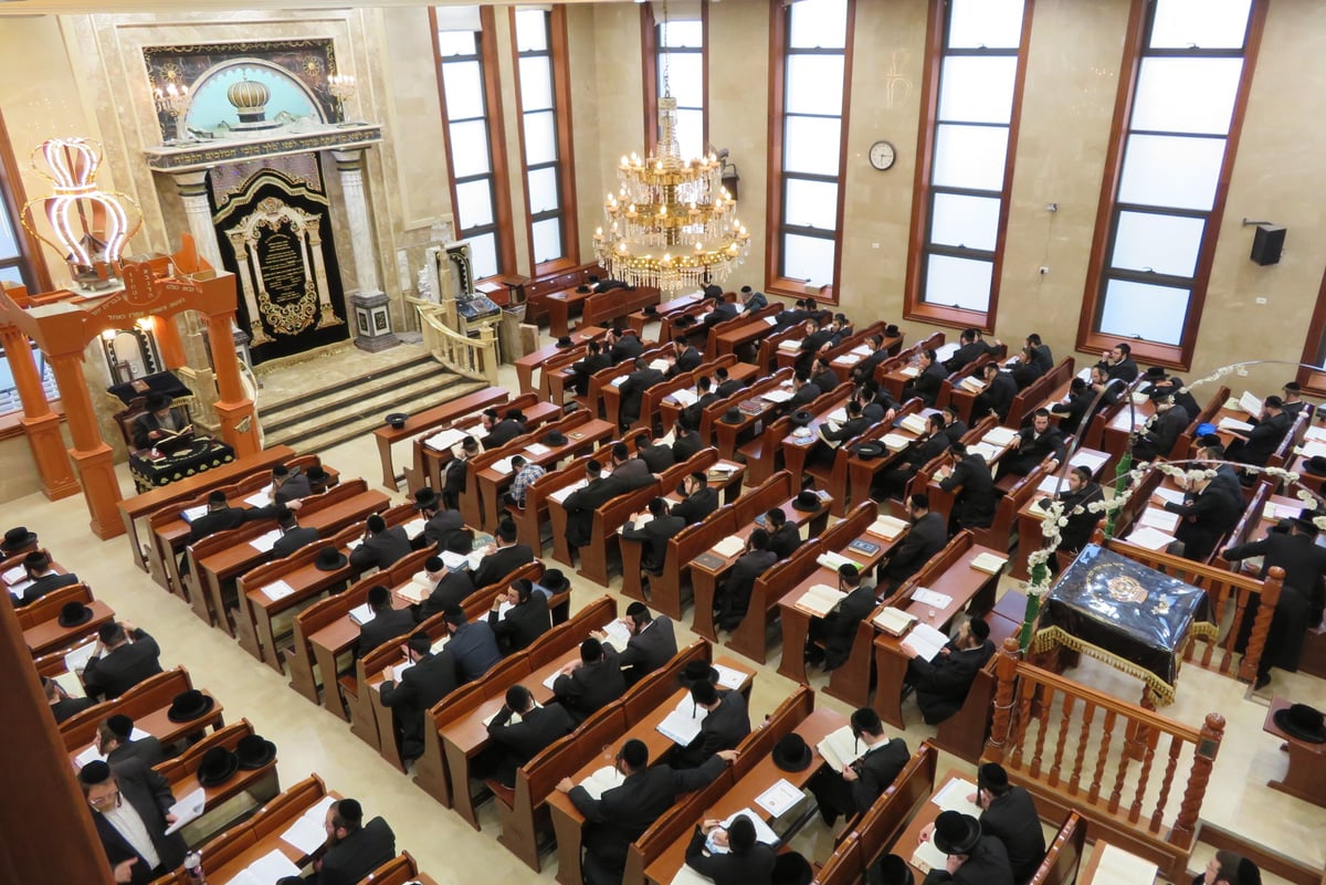 סדר לימוד: כך התכוננו בשבט הלוי למתן תורה