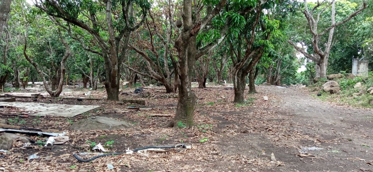 מקווה, בגדים ונעליים; כך נראה המתחם העזוב של כת 'לב טהור' בגואטמלה