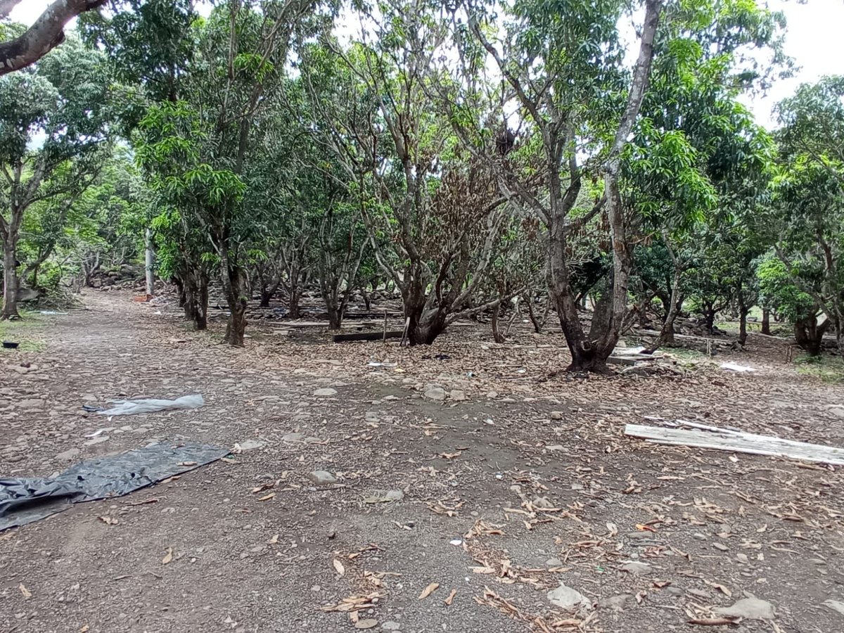 מקווה, בגדים ונעליים; כך נראה המתחם העזוב של כת 'לב טהור' בגואטמלה