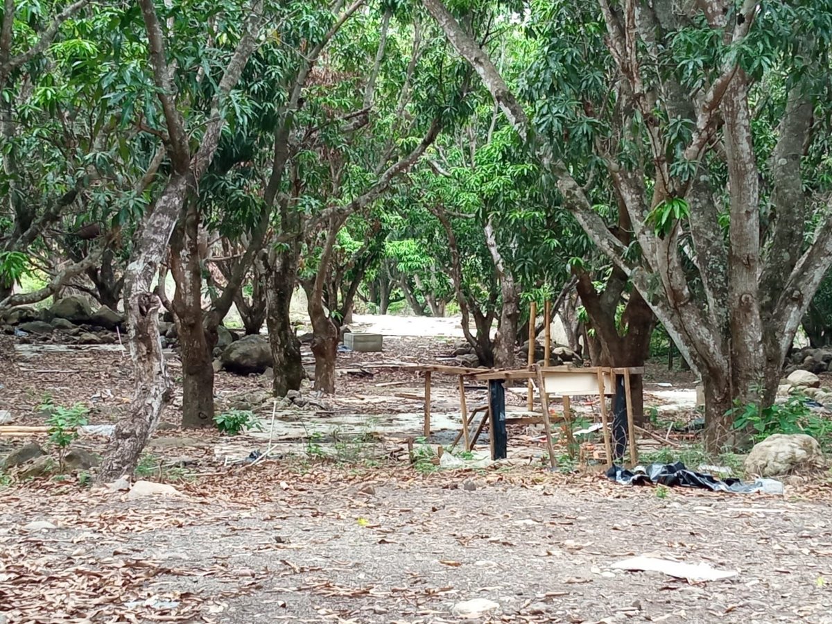 מקווה, בגדים ונעליים; כך נראה המתחם העזוב של כת 'לב טהור' בגואטמלה