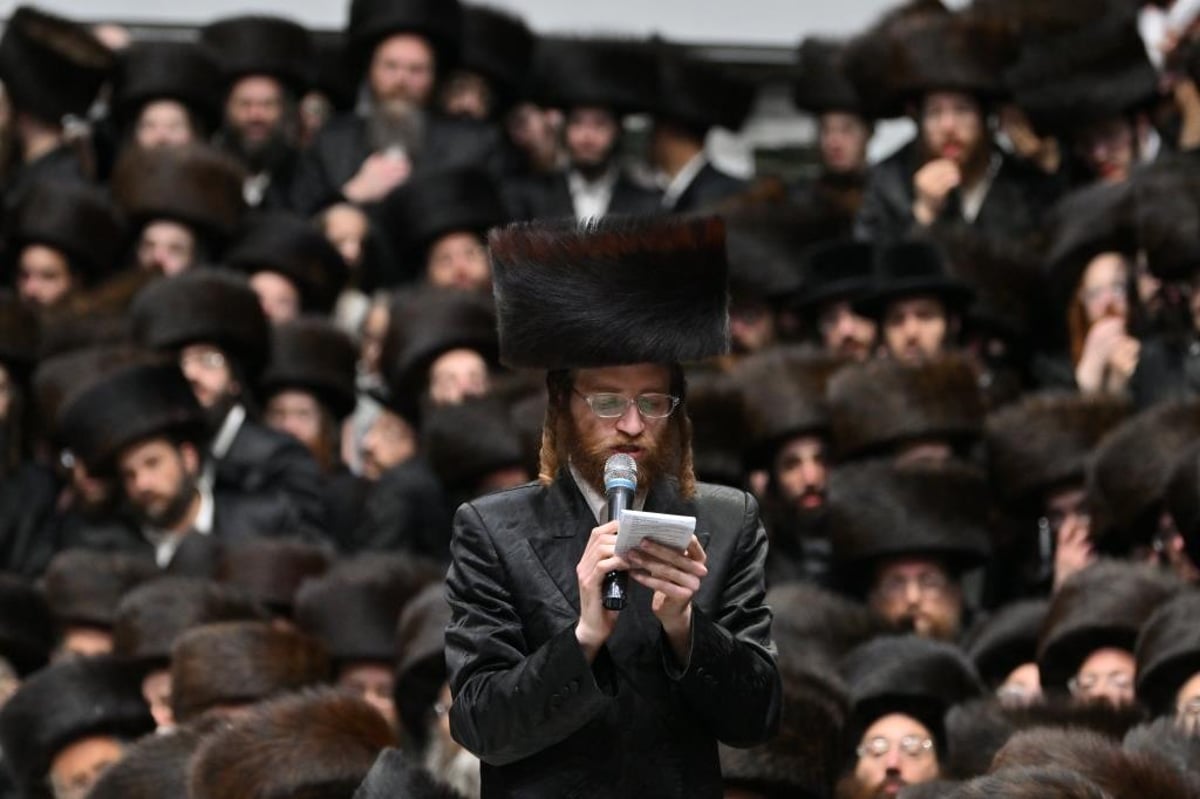 שמחת החתונה לנכד האדמו"רים מויז'ניץ וסערט ויז'ניץ