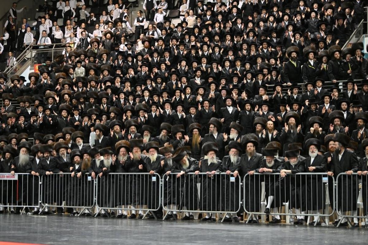 שמחת החתונה לנכד האדמו"רים מויז'ניץ וסערט ויז'ניץ