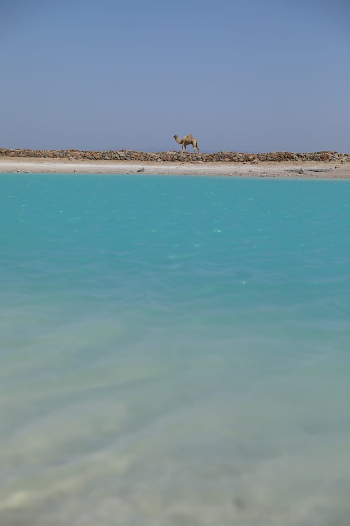 טיול מרהיב לנופי סיני דרך עדשת המצלמה