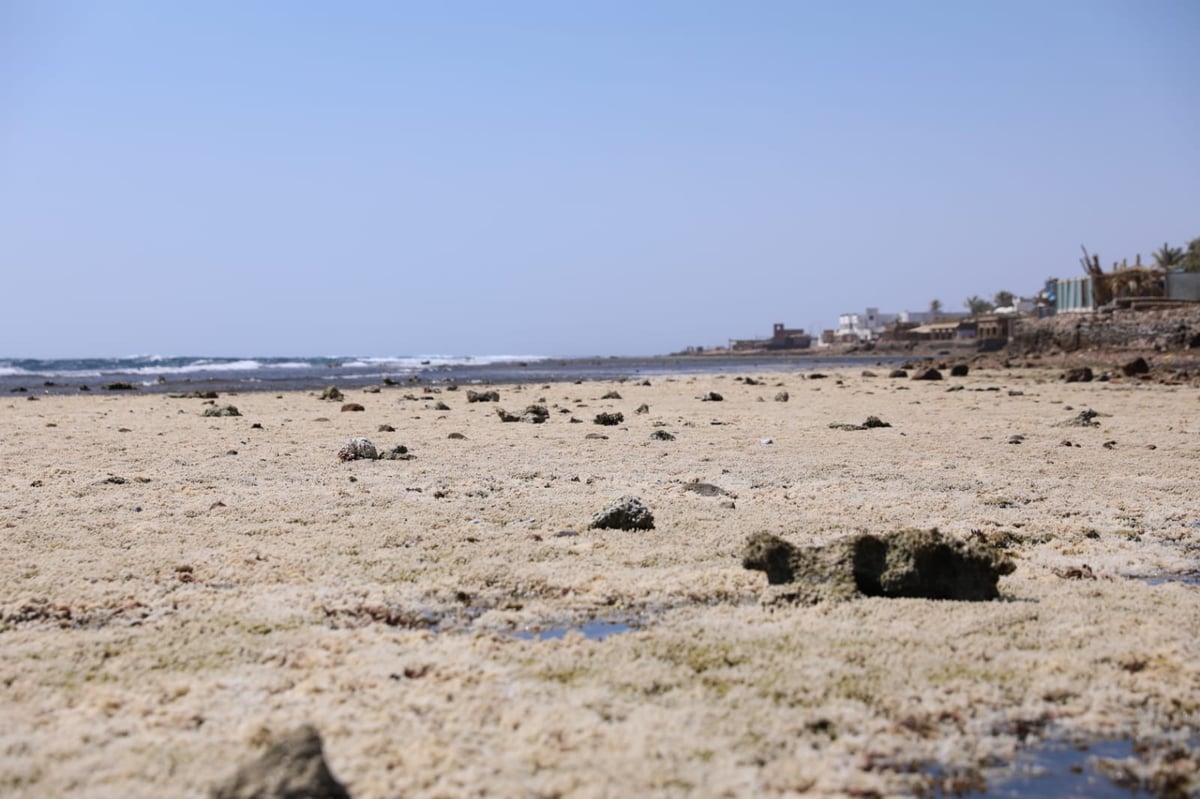 טיול מרהיב לנופי סיני דרך עדשת המצלמה