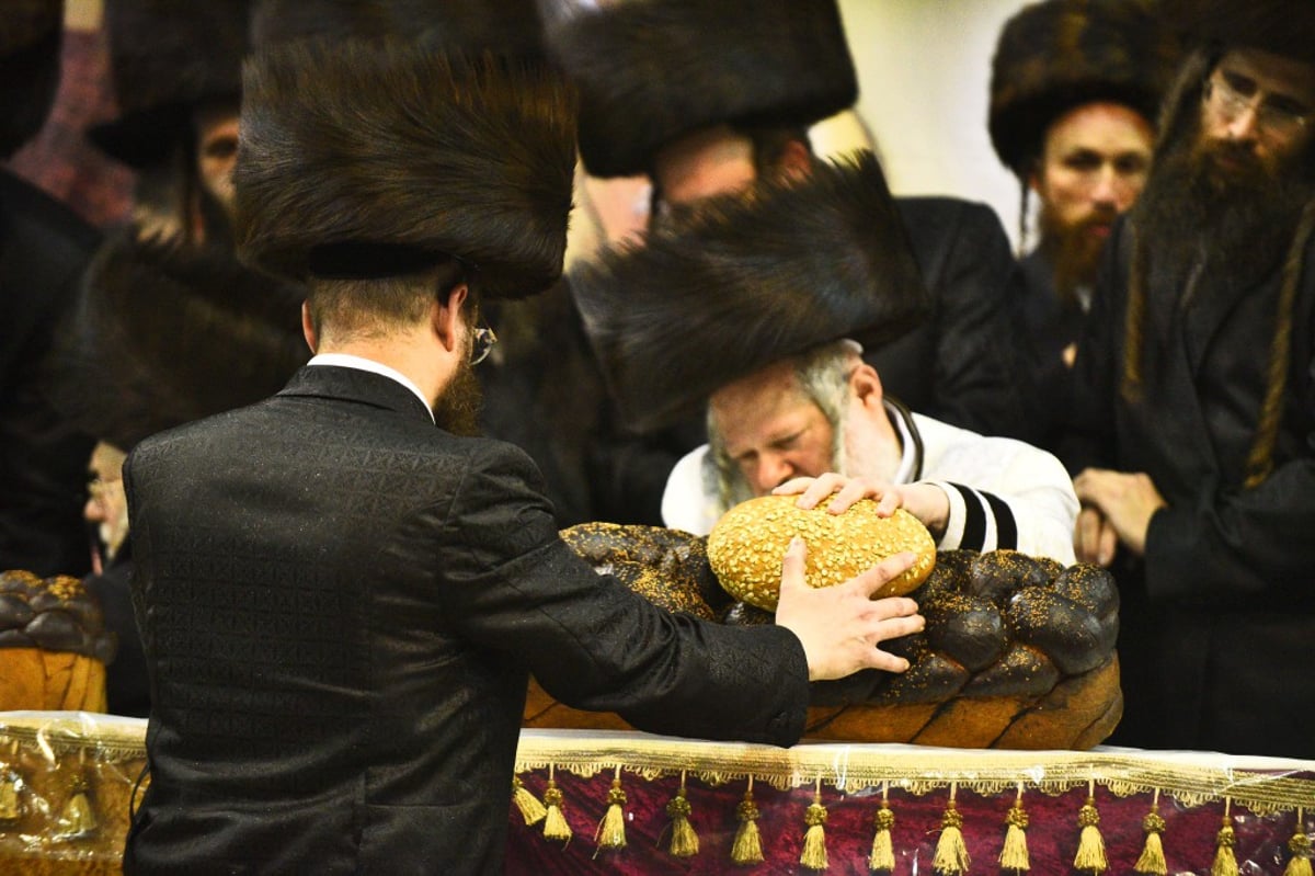 שמחת החתונה לנכדי האדמו"רים מאמשינוב ופרמישלאן; צפו