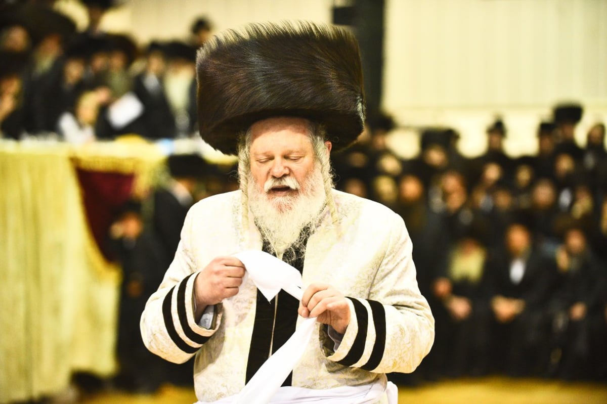 שמחת החתונה לנכדי האדמו"רים מאמשינוב ופרמישלאן; צפו