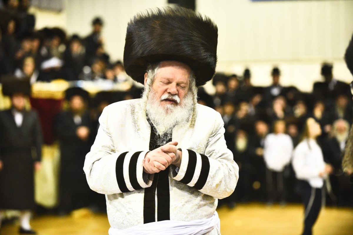 שמחת החתונה לנכדי האדמו"רים מאמשינוב ופרמישלאן; צפו