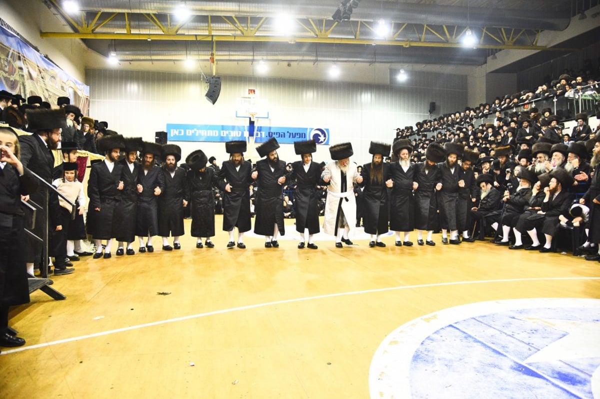 שמחת החתונה לנכדי האדמו"רים מאמשינוב ופרמישלאן; צפו