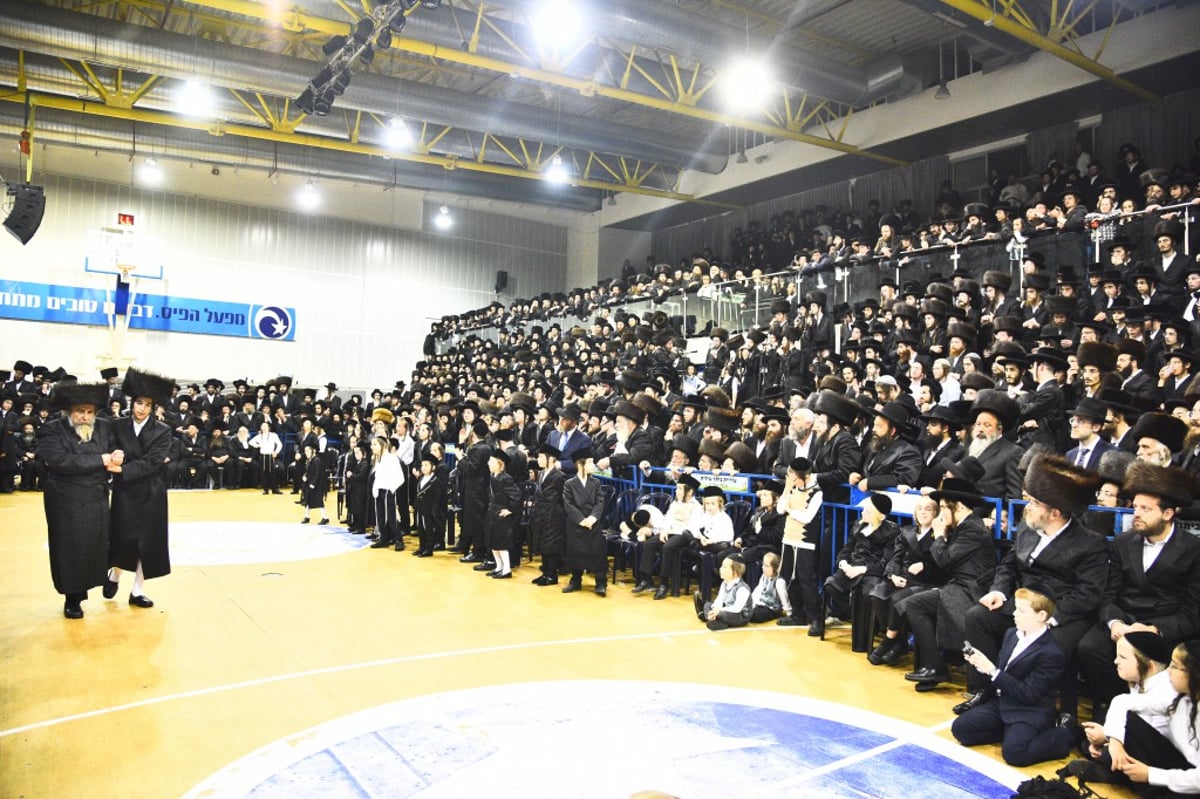 שמחת החתונה לנכדי האדמו"רים מאמשינוב ופרמישלאן; צפו