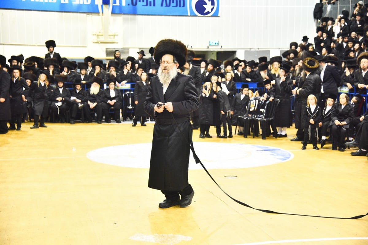 שמחת החתונה לנכדי האדמו"רים מאמשינוב ופרמישלאן; צפו