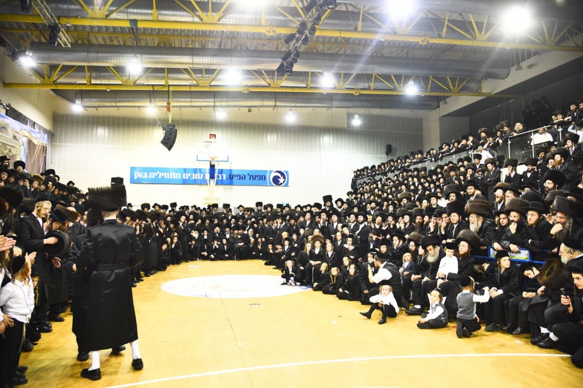 שמחת החתונה לנכדי האדמו"רים מאמשינוב ופרמישלאן; צפו