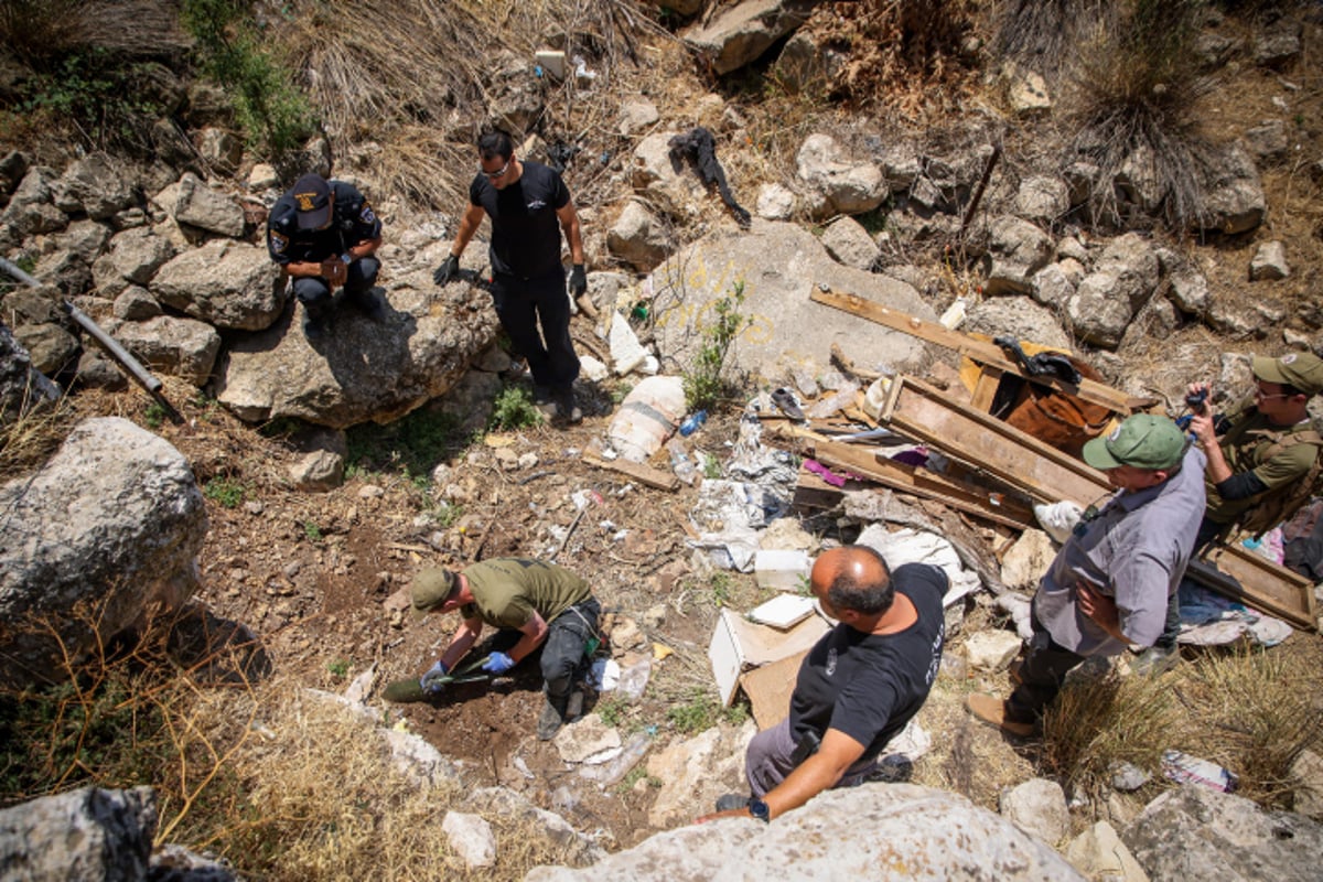 מסוק באוויר, כלבנים, פרשים: החיפושים אחרי מוישי קליינרמן