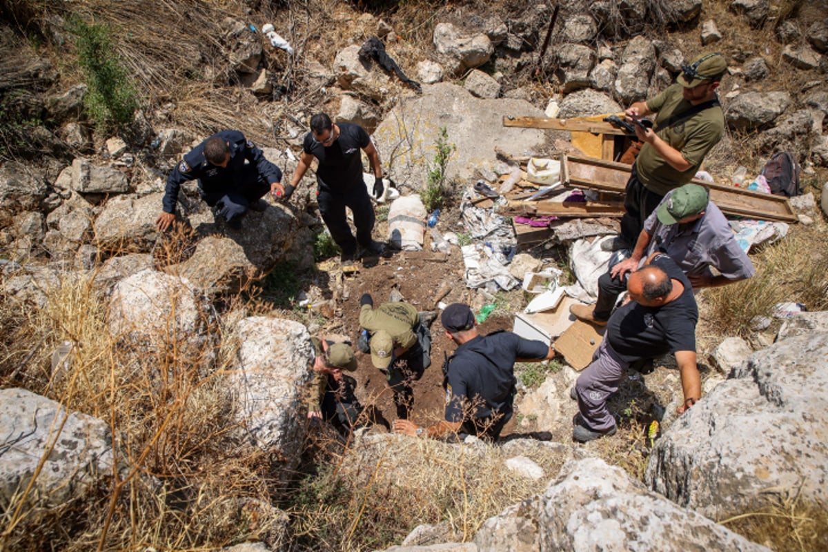 מסוק באוויר, כלבנים, פרשים: החיפושים אחרי מוישי קליינרמן