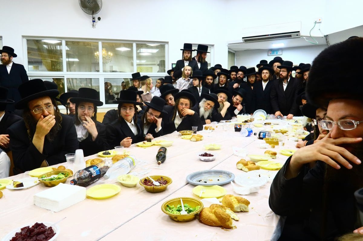 באמשינוב חגגו שבע ברכות לנכדת האדמו"ר