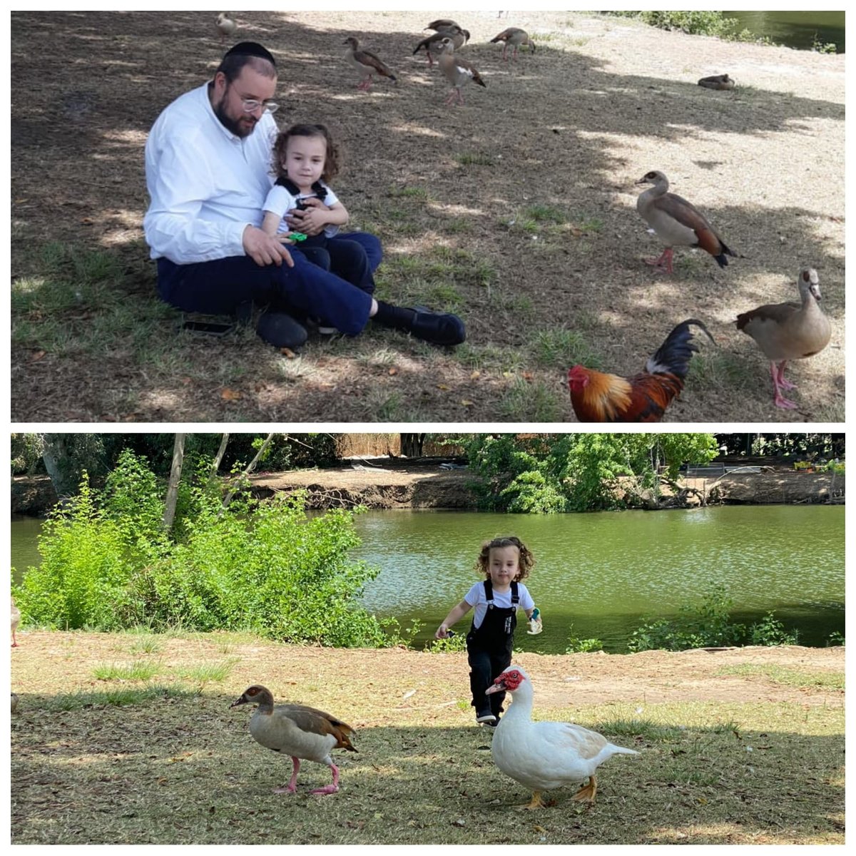 זופניק בכיכר • כל התמונות והנייעס של השבוע