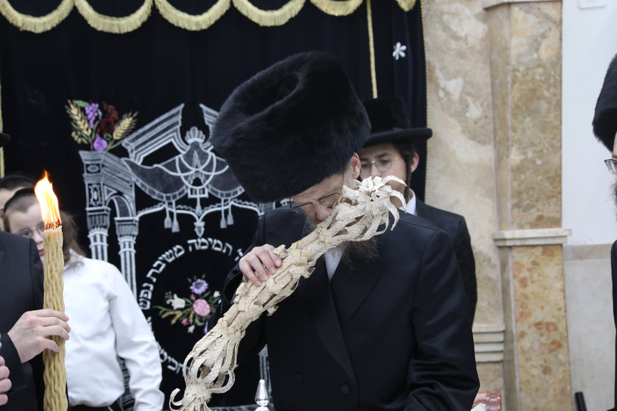 לראשונה: הרבי מאלכסנדר ארה"ב שבת בירושלים