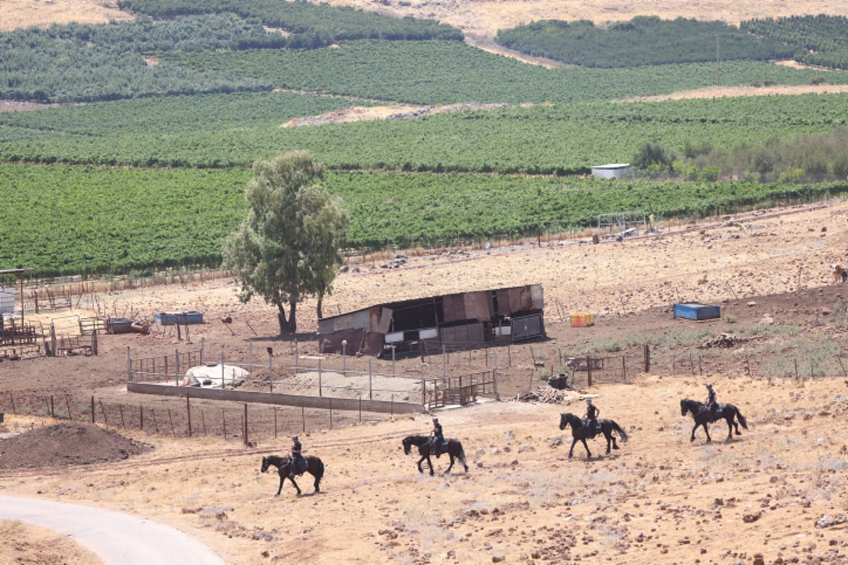 עשרות בלשים חיפשו את הנעדר מוישי קליינרמן בצפון | צפו