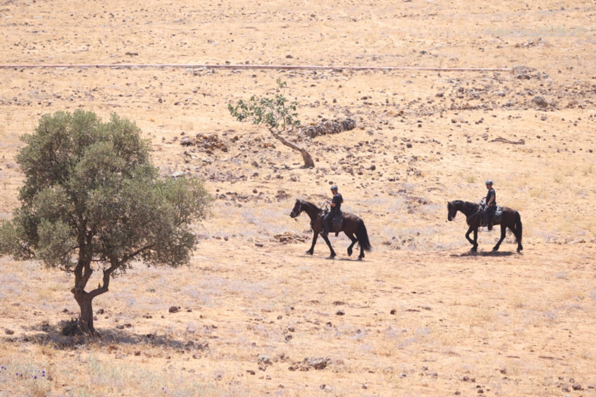 עשרות בלשים חיפשו את הנעדר מוישי קליינרמן בצפון | צפו