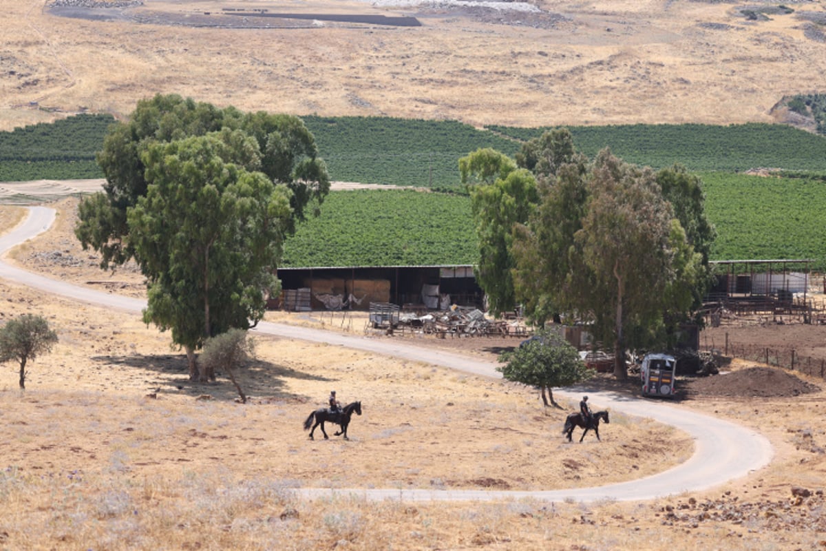 עשרות בלשים חיפשו את הנעדר מוישי קליינרמן בצפון | צפו