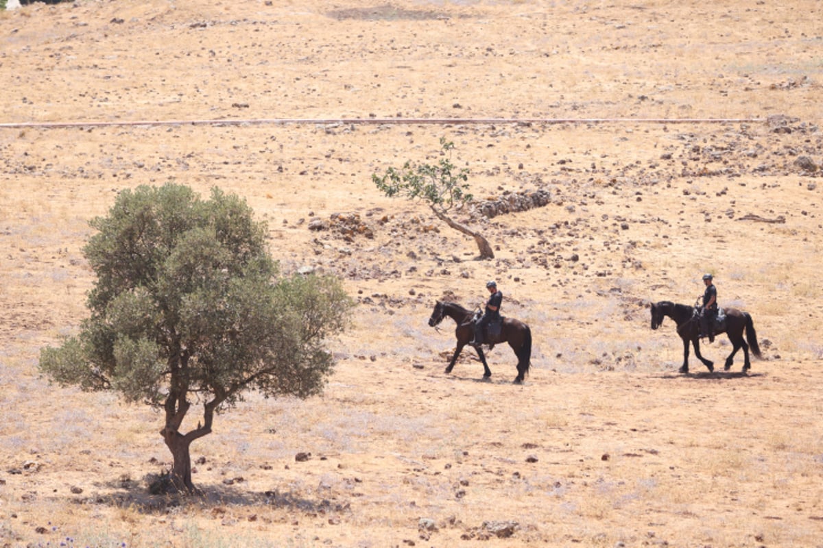 עשרות בלשים חיפשו את הנעדר מוישי קליינרמן בצפון | צפו